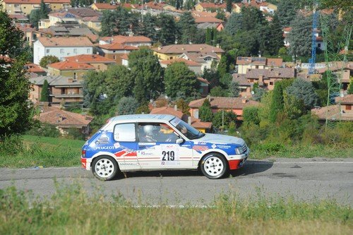 219 Bolzani