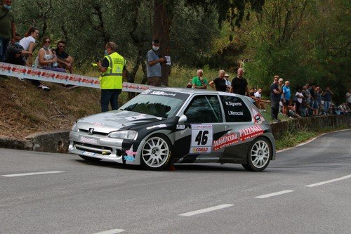046 Signorini