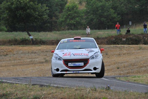 050 Panarotto