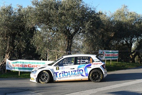 008 Tribuzio