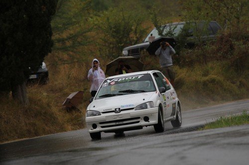084 Polli