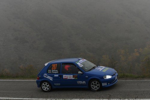 207 Gelfusa