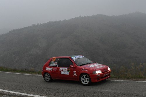 248 Pino