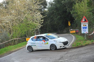133 Piccardo