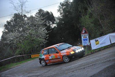 317 Pelacchi