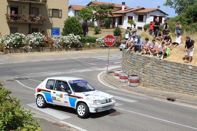 207 Masini