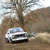 206 Bollini 206 Bollini